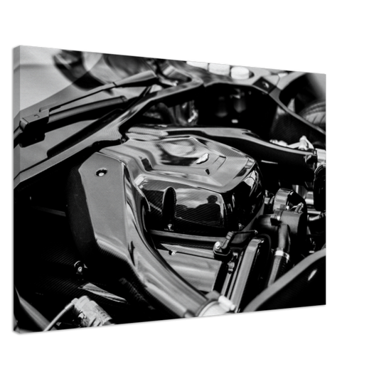 Toile moteur Aston Martin Vulcan