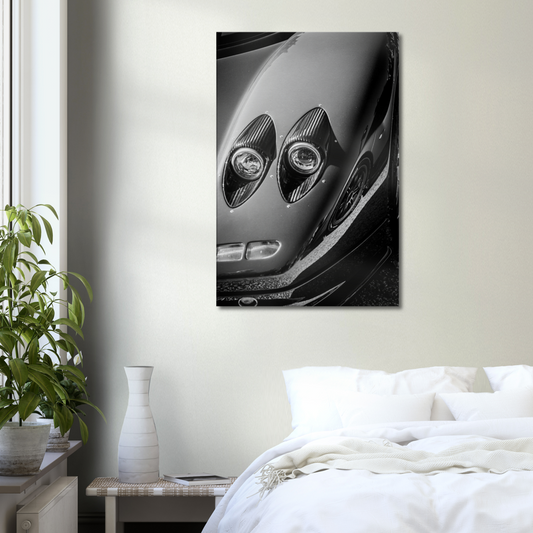 Toile Pagani Zonda