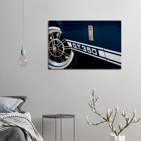 Toile Ford Mustang GT350