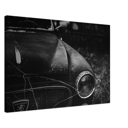 Toile Peugeot 403 abandonnée